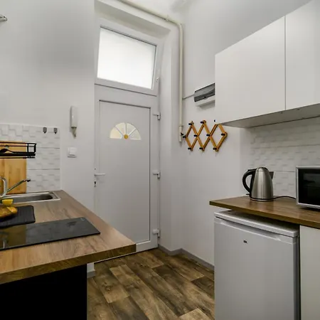 Apartment Stylish Studio In Budapest